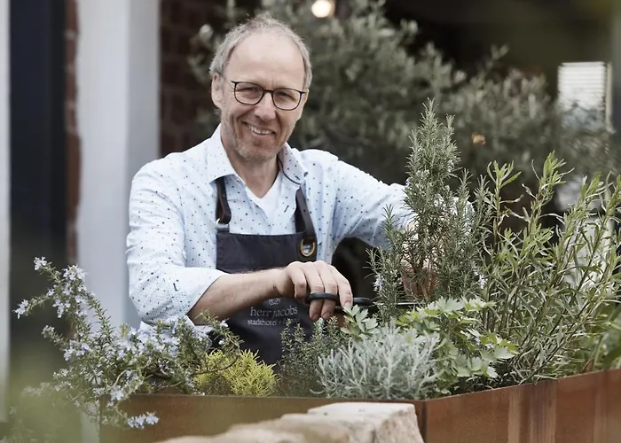 招待所 斯塔德酒店 3*